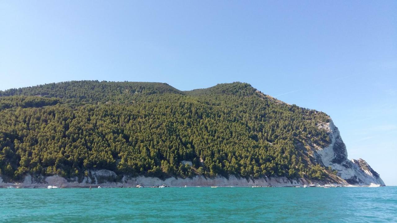 I Principi Del Conero 3*
